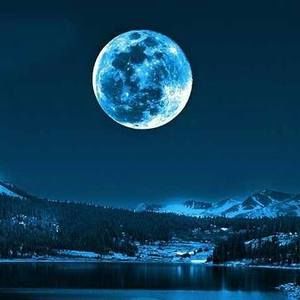 Meet your Posher, Laquan